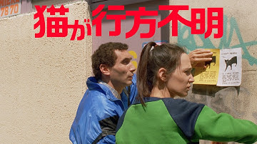 『猫が行方不明』予告編　ビデックスで配信中！