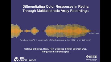 Differentiating Color Responses in Retina Through Multielectrode Array Recordings