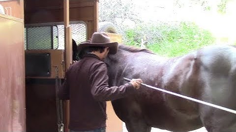 Refreshing Trailer Loading, Mike Hughes, Auburn California