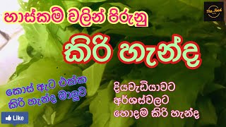 Kiri Handa Curry | කිරි හැන්ද කොස් ඇට එක්ක | The Food Train | foodrecipe sinhala srilanka foods