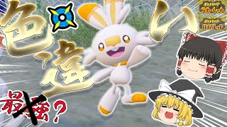 【ポケモンＳＶ】ウルボ色ヒバニーが可愛すぎる！！最強のヒバニー？【ゆっくり実況】