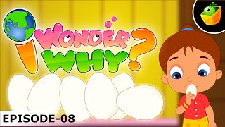 Why Does The Egg Shaped The Way It Is ? - I Wonder Why - Amazing & Interesting Fun Facts For Kids