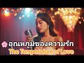 🌸 อุณหภูมิของความรัก (The Temperature of Love) – เพลงบัลลาดอบอุ่นจากใจ | Thai Female Ballad #คิดถึง