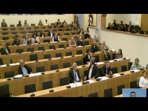 კომიტეტების გაერთიანებული სხდომა