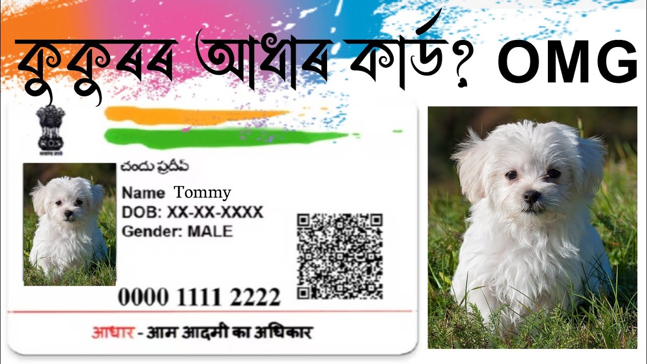 dog essay in assamese