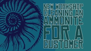 New Workshop! Cleaning interesting ammonite for a customer