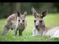 Australia Photography Trip, Part 1