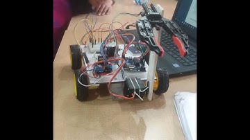 Robotic Arm with 2 DOF