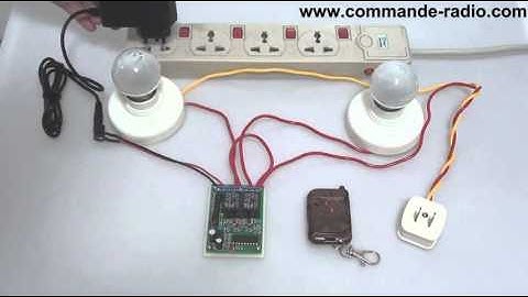 Commande Radio/Émetteur Récepteur Sans Fil 9V 12V 24V 2 Canaux - Mode de Contrôle Triggering