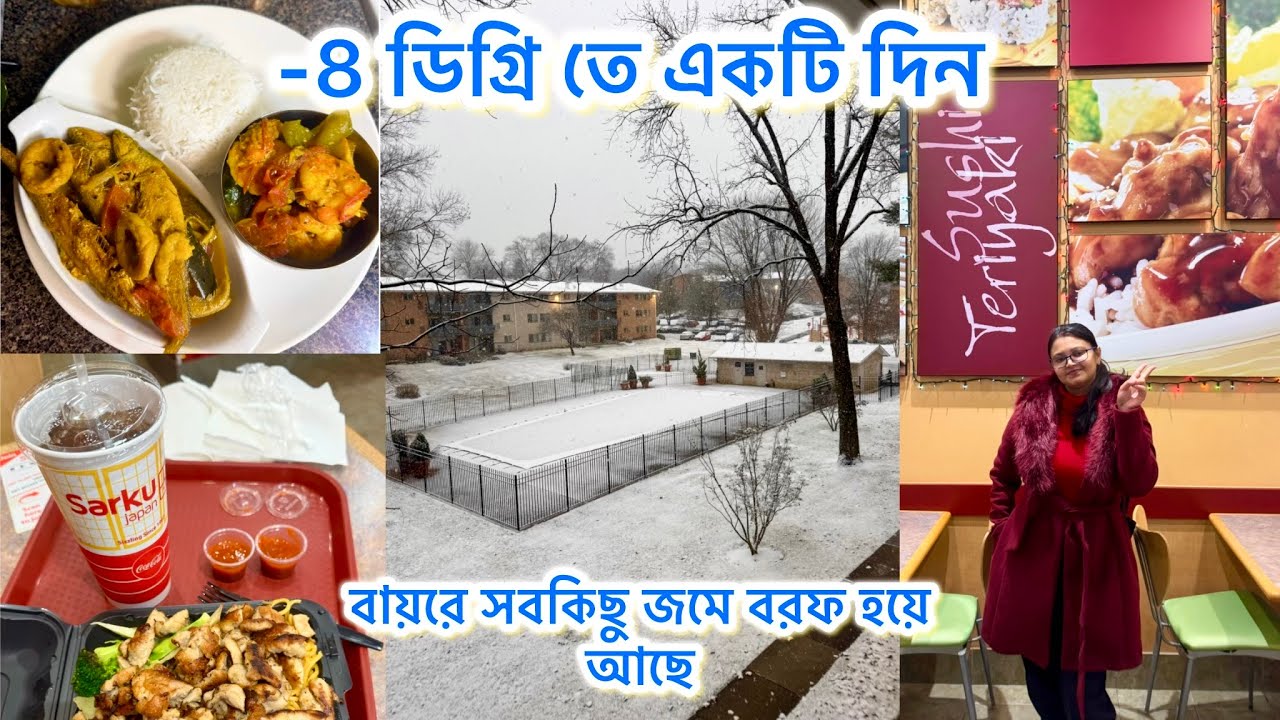 বছরের প্রথম snowfall❄️বাইরে আজ -8 ডিগ্রি তে ফ্রোজেন লেক।সকাল উঠে দেখলাম চারিদিকটা বরফের চাদরে মোড়া 