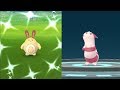 WE CAUGHT SHINY SENTRET! POKEMON GO SHINY SENTRET EVOLVES INTO SHINY
FURRET!