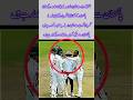 West Indies Bowler Sparks Controversy After Heated Moment With Pakistani Player | Cricket Drama