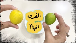الفرق بين الليمون الأخضر والليمون الأصفر وفوائد كلا منهما؟!