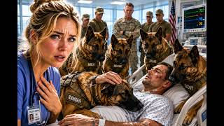 Five Military K9s Rejected Every Handler—Until the Quiet Nurse Realized Who They Were Waiting For News