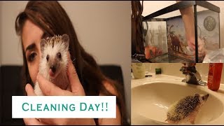 Cage Cleaning Time! || Hedgehog Bath!