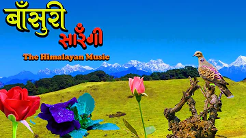 Sarangi| Basuri||Nepali Flute Music ||Nepali Folk Dhun ||Meditation Music ||Nepali Instrumental #Ep3