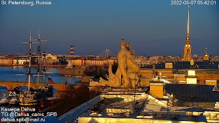 Утро чаечки. Попробуйте посмотреть на видео зевающей спросонок чаечки и сдержаться. Seagull morning.