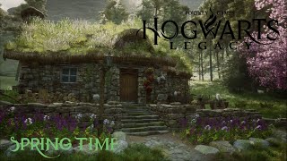 Hogwarts Legacy  Spring in Lower Hogsfield  soft background music + ambient sounds