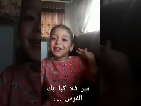 سر فلا كبا بك الفرس