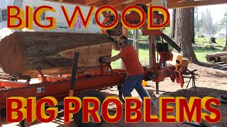 Giant Cedar V.S. My Wood Mizer
