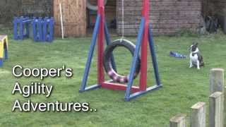Can boston terriers do agility - you betcha by Andrew Long 15,191 views 11 years ago 1 minute, 30 seconds