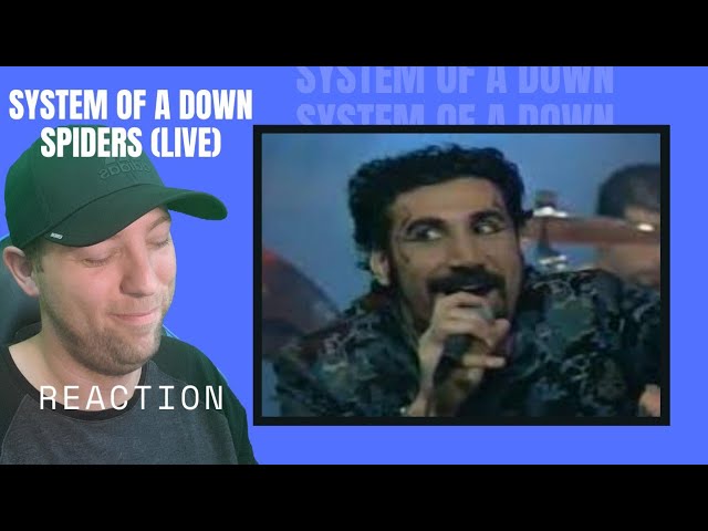 SYSTEM OF A DOWN - SPIDERS