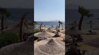 Hotel savoy sierra - sharm el sheikh egypt 2024 beach travel summer sea