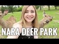 Must Visit DEER PARK in Japan!