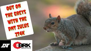 Out On The Grey Squirrels With The DNT Zulus ZT4K