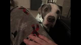 78425909784  D252EFF1 0139 4C4A AD67 A29C3A4DB8DB