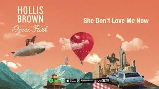 Video thumbnail of "Hollis Brown - She Don't Love Me Now (Official Visualizer)"