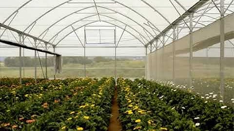 Bulk White Shade Cloth