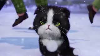 This cat game is super addictive！【Kitten Match】ep50 screenshot 5