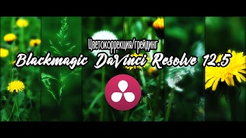 Одуванчики - Цветокоррекция/грейдинг в Blackmagic DaVinci Resolve 12.5