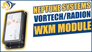 Neptune Systems VorTech/Radion WXM Module: What YOU Need to Know