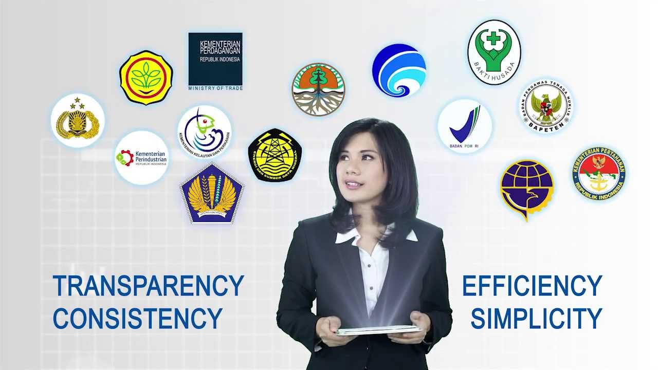 Insw indonesia national single window youtube