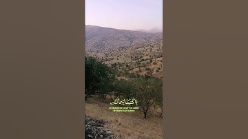 #سورة_الروم #القارئ_محمد_صديق_المنشاوي