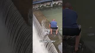 Ikan Ini Menipu Dengan Diam Endingnya Bikin Ngakak