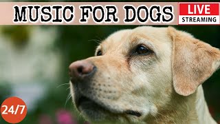 [LIVE] Dog Music🎵Dog Calming Music for Dogs Deep Sleep🐶 🎵Separation Anxiety Music for Dog Relax🔴6