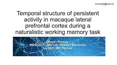 Temporal structure of persistent activity during working memory