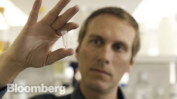 The Dairy Scientist Saving Cows From Pain