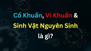 Cổ Khuẩn, Vi Khuẩn và Sinh Vật Nguyên Sinh - Sinh Học - tập 35 | Tri thức nhân loại