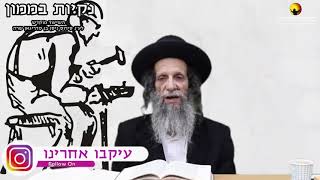 הרב עופר ארז - נקיות בממון