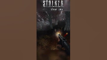 This mutant was moving pretty fast 🐱‍🏍 #stalkeranomaly #stalkerclearsky  #shadowofchernobyl