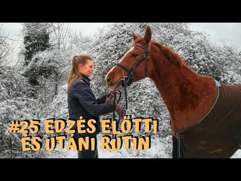 Videó: A téli lovaglás dicséretére