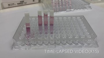 Multiplexing Demonstration