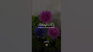 تلاوة هادئة من سورة الأحزاب للقارئ محمد الفقيه 💚 - أرح سمعك وقلبك ❤️‍🩹😴