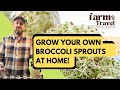 Grow your own Broccoli Sprouts in just 5 days!!