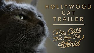 HOLLYWOOD CAT TRAILER 2 | THE CATS THAT RULE THE WORLD | SHEBA®