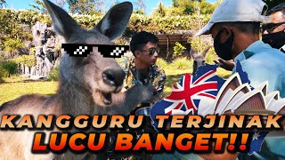 ALSHAD MASUK AREA INI, LANGSUNG BERASA DI AUSTRALIA !